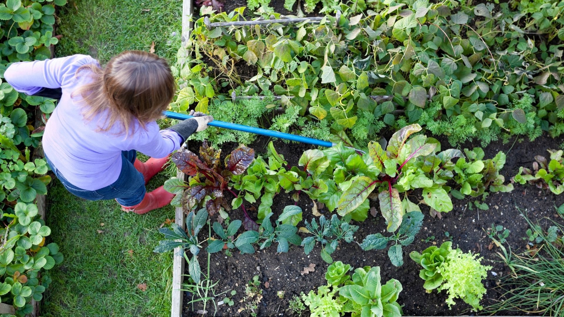 ¿Qué se deben considerar para enseñar con un huerto escolar infantil?